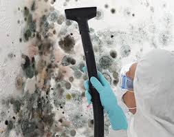 Newtown, PA Mold Removal Company